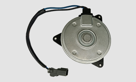 Single Motor