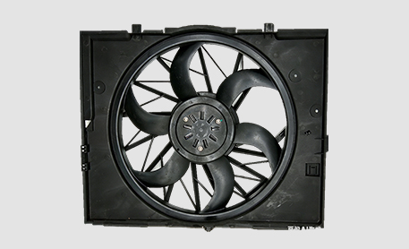 Dedicated Electronic Fan